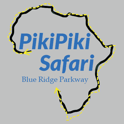 pikipikisafari Profile Picture