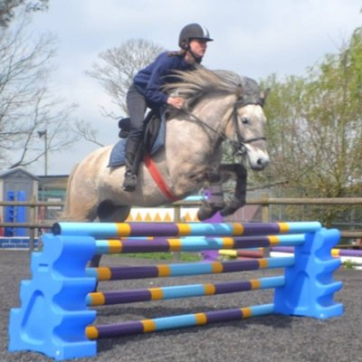Friendly native pony riding school, pony club centre and children's holidays