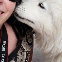 illona duffy (@illonaduffy) 's Twitter Profile Photo illona duffy (@illonaduffy) 's Twitter Profile Photo