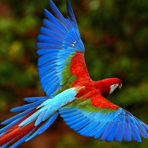 valyeva00's profile picture. давай дружить ))