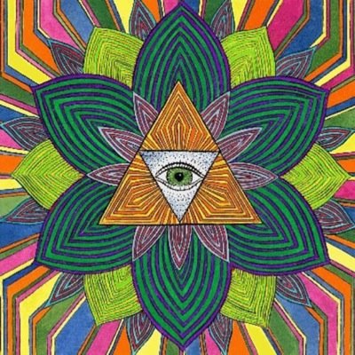 psychonaut, vegitarian, ski bum, falling in love with the world | more flowers, less towers #EnlightenedFamily #Deadhead