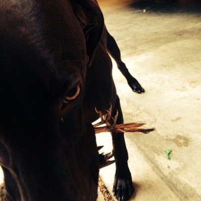 nickegray's profile picture. 