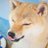 rinbell306's profile image