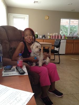 kimleme's profile picture. Butterflies