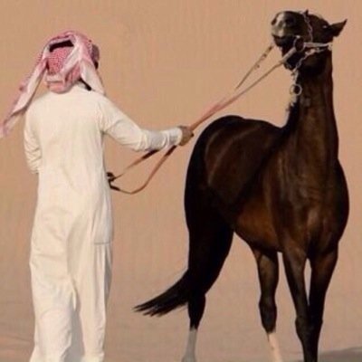 حسابي الاول نسيت الرقم السري
يشرفني ويسعدني متابعتكم