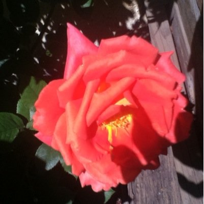 ksrieger1's profile picture. Look for the silver lining