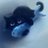 Profile Picture of Lucy (@@lucy_render) on Twitter