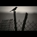 ،، (@2323_vip) Twitter