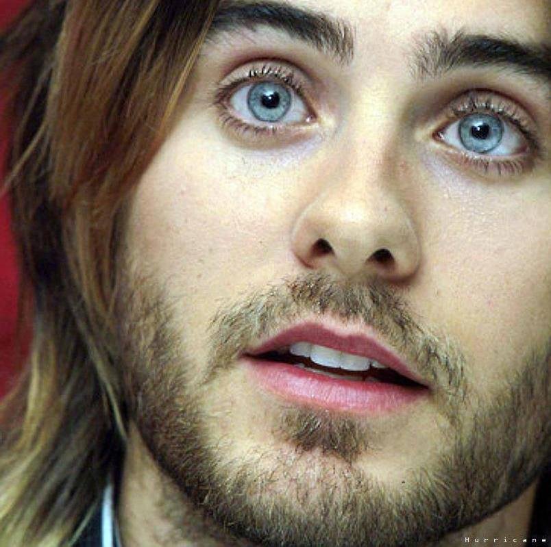 Forever & ever a TRUE ECHELON 3