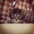 ThorMeowMeow's profile image