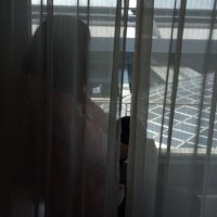 Motoyo (@mo_to_yo) 's Twitter Profile