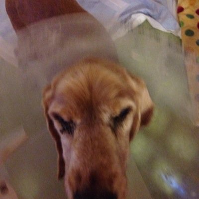 shun200104141's profile picture. 