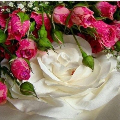 هنا نبض المها ❤