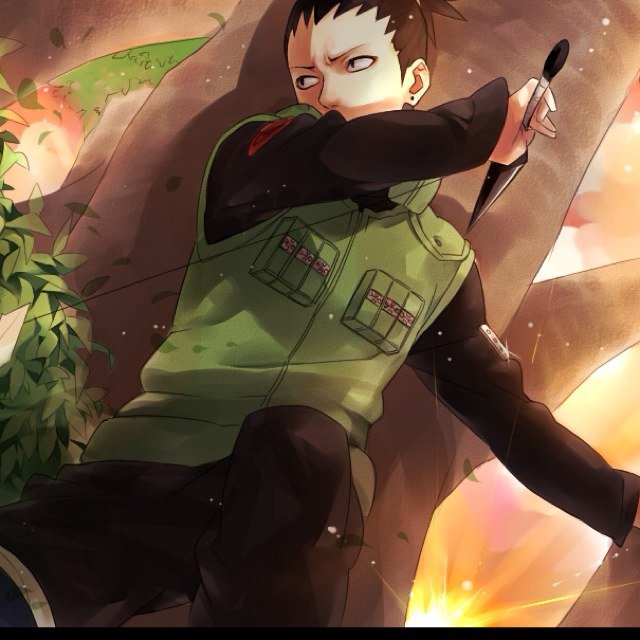 Do i have to write a bio.. Fine i'm shikamaru Nara i'm not the most active person in the world i only became a shinobi so i could have a normal life |RP|Single|