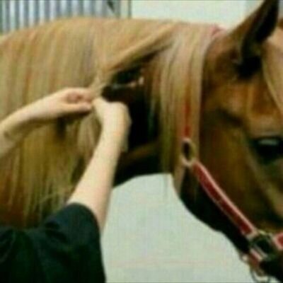 toto0262's profile picture. “ اسْتَغفِرُ الله عَددَ مَا أبدَعَ فِي خَلقِ سَماوُاتِہ وَ عدَد مَا سجَد لهُ عِبادهُ ، وَ عدَد مَا تَجلّت أسْمَائہُ وَ صِفَاتُہ