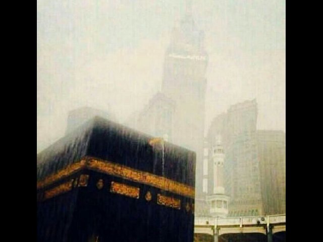 Khaledshamrani8's profile picture. 