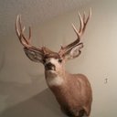 Cody Most - @CodyMost12 - Twitter