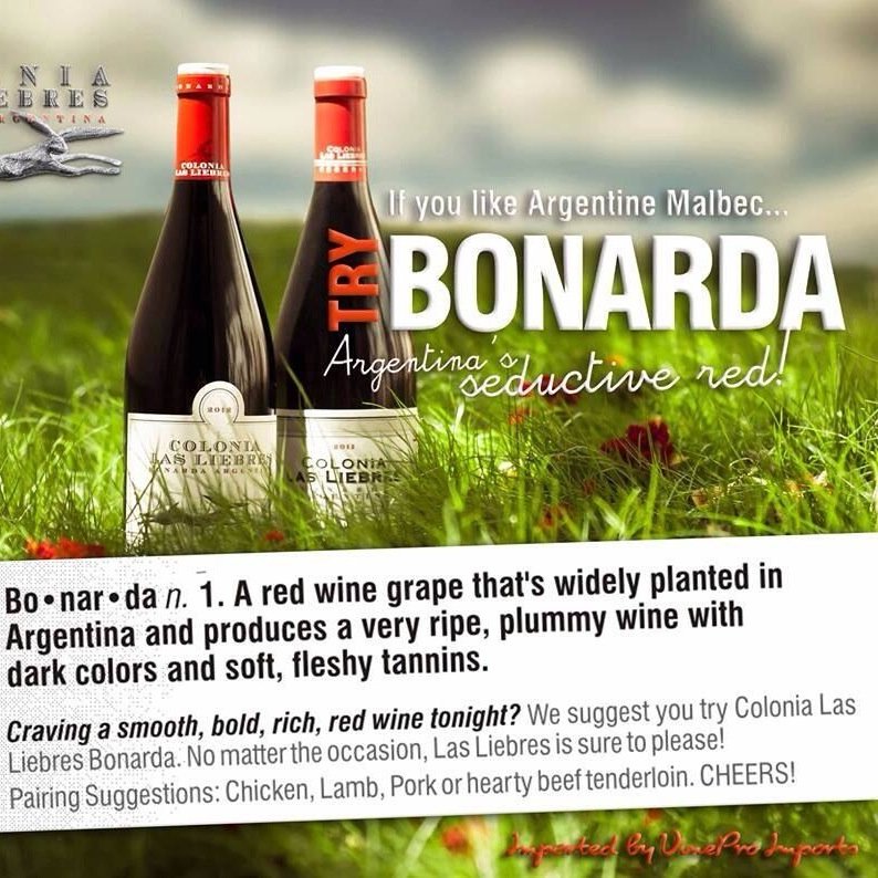 Bonarda ~ Argentina's Seductive Red
