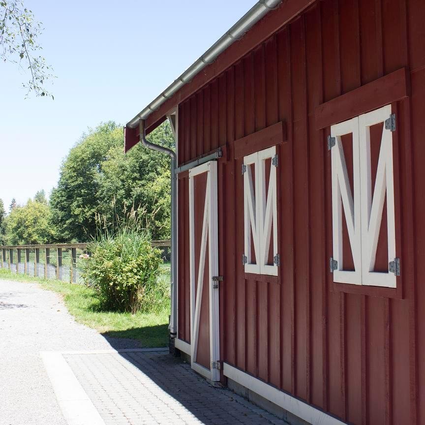 EBellevueBlog's profile picture. News & events for the east side of Bellevue, WA.