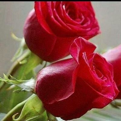 ‏‏لا أريد سوى عمل صالح أقابل به ربي وان أكون ذكرى جميله في حياة من حولي،.. حلمي الحصول على منزل صغير