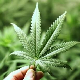 Strictly pot