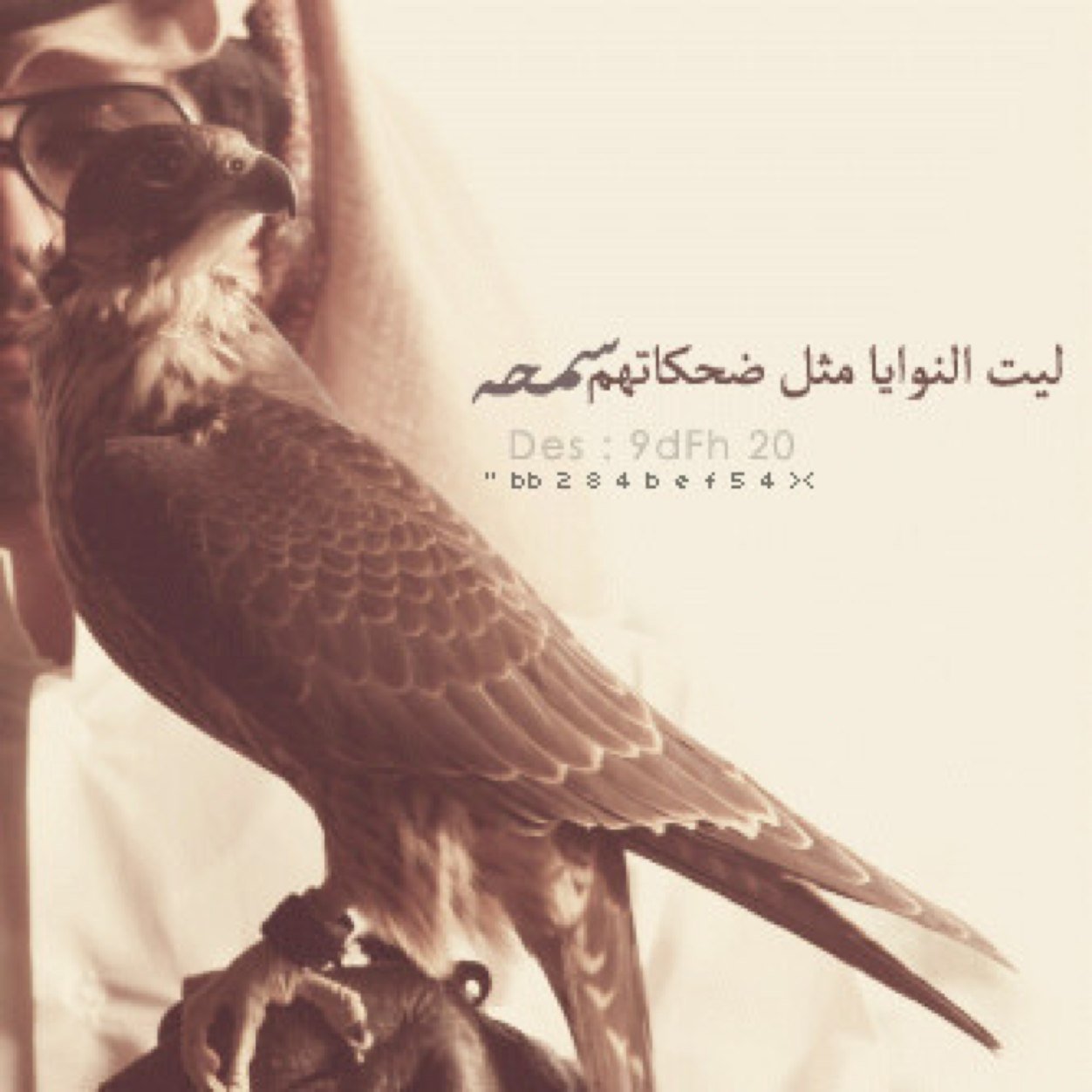 كن ثريا باخلاقك غنيا بقناعتك كبيرا بتواضعك فهاكذا يعيش الملوك..♡ .. الاستقرام fahad_alrogy
