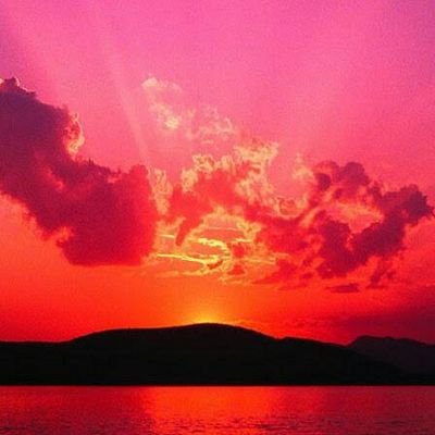 nesko_nenad's profile picture. 