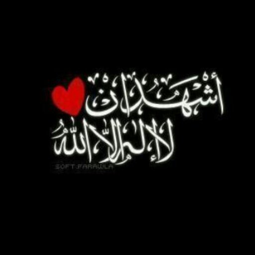 ذ‏‏أحسن الكلام ما صدق فيه قائله، وانتفع به سامعه، وان الموت مع الصدق خير من الموت مع الكذب.
