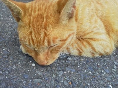 daily_butterfly's profile picture. 