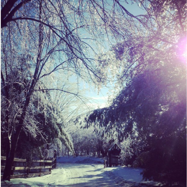 Frosty iced me over
