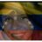 jacqueline042's profile image