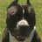 B_Atwal's profile image