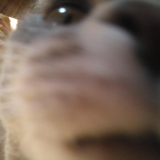 chaielf's profile picture. Der ganz normale Wahnsinn...in allen Lebenslagen...natürlich,tierisch,gesund...und so...