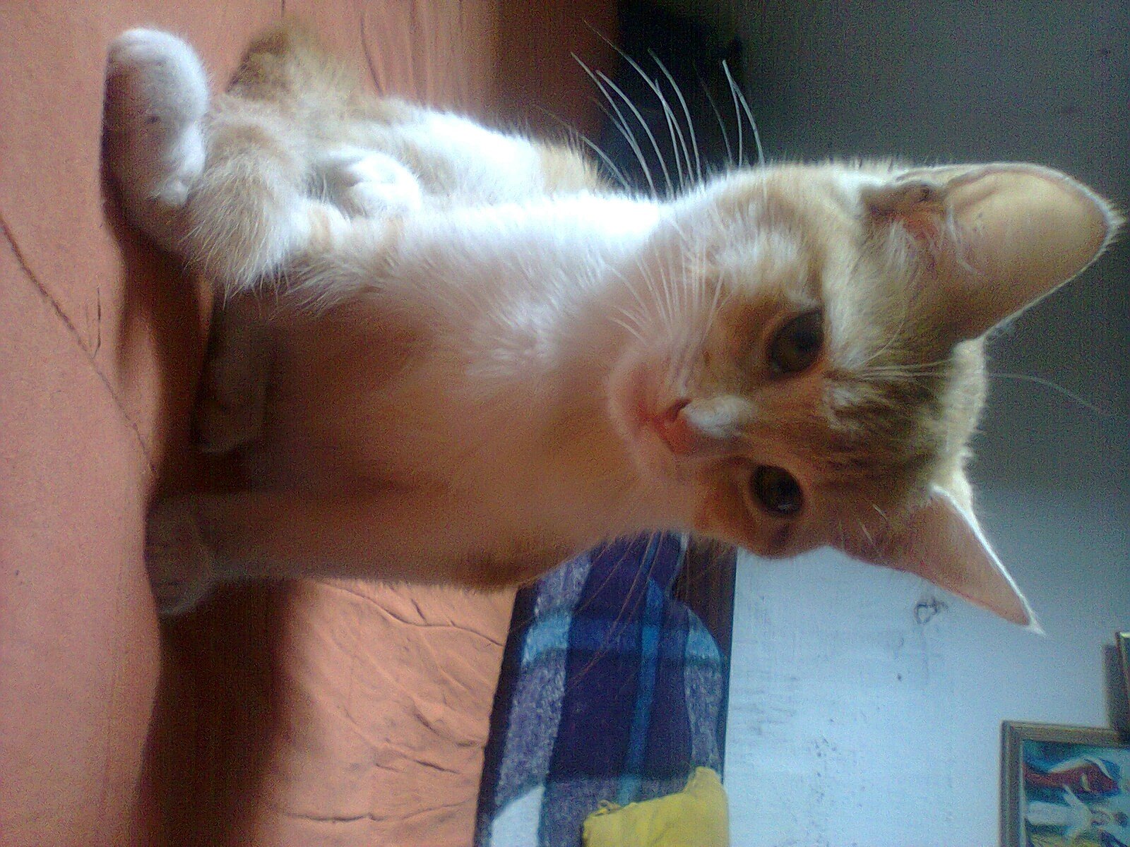 me encanta divertirme y hacer nuevas amistades!!
:)