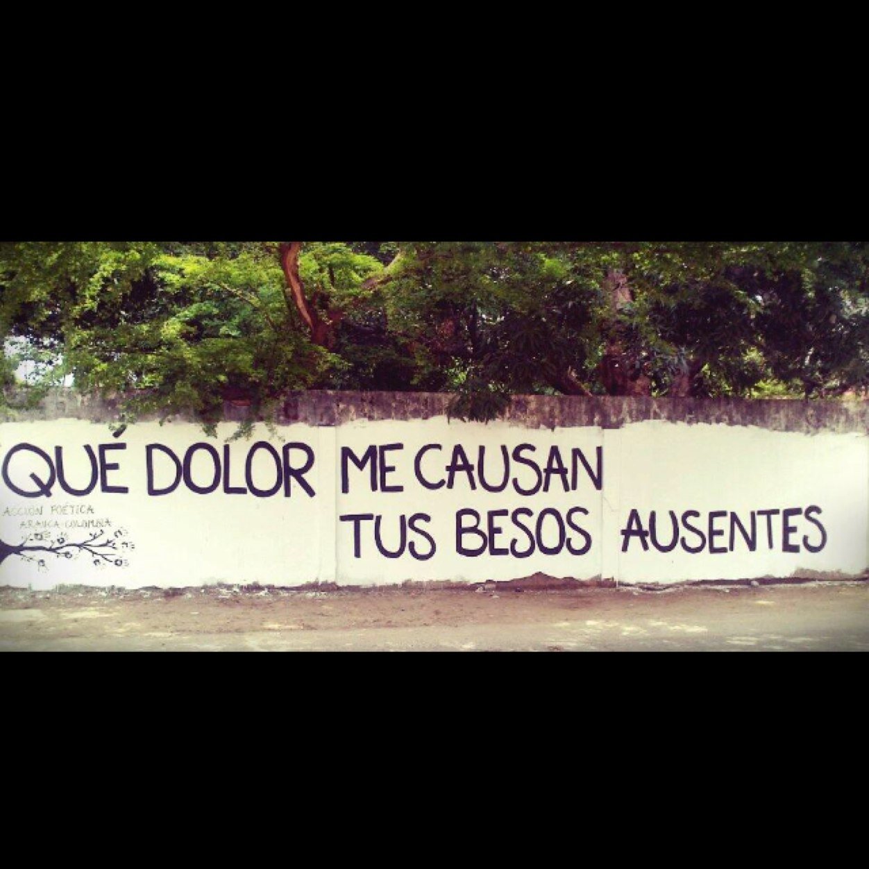 Frases lindas