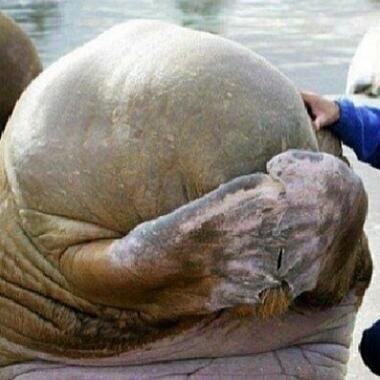 Shankapotamus73's profile picture. 