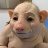 PigPussy's profile image
