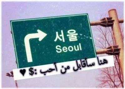 @Kooorea11Korea @wafa12129761 @korealoove00متبريه مما ترونا فيهها Trbalz Queens  kpop Otaku ELF