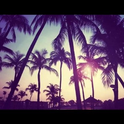 D_B_o_X's profile picture. 