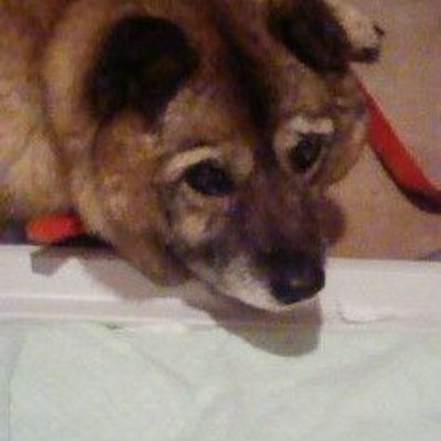 まりも (@hokkaidoumarimo) / Posts / X