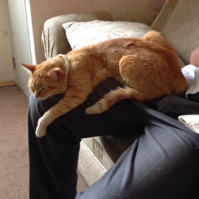 oscari01's profile picture. Aspirante a científico. Facultad de Ciencias | De vez en cuando me inspiro para Tuitear.