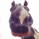 Natasha Kay Senior - @natashaksenior - Twitter