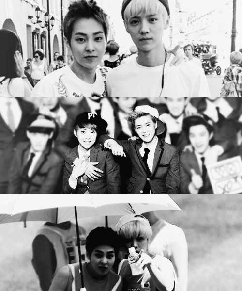 { XiuHan hardcore // Ship All Couples }