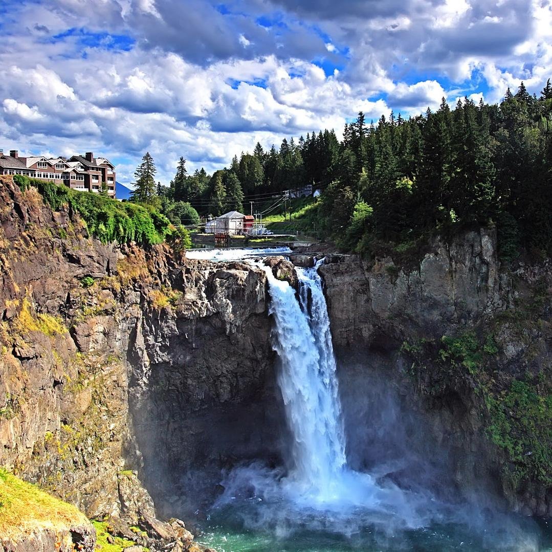 buffel777's profile picture. 