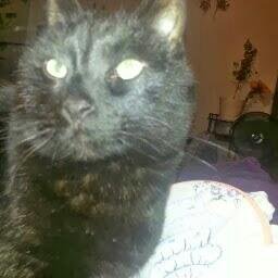 559f0267832a49f's profile picture. 