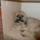 Ted Gammon - @TedGammon - Twitter