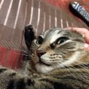 Patrick Gilbertson - @realPG - Twitter