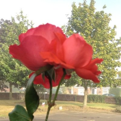 Qualified therapist -16 years - and offer my mobile beauty service covering Colchester and Essex Provide treatments that are normally exclusive to salons