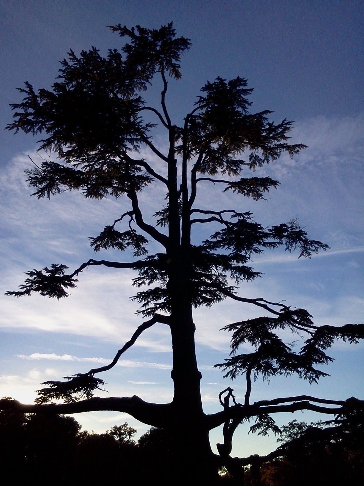 bezz_a's profile picture. Social Work Academic (University of Bristol) 
Activist in heart, mind and soul ... Passionate about human rights and social justice. Views are my own.