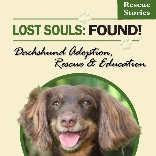 Support animal rescue with Happy Tails Books. Make your adopted pet a rock star or read a great tale!